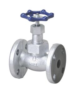 Globe Valve(10K)