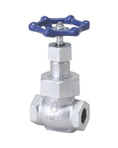 Globe Valve(10K)
