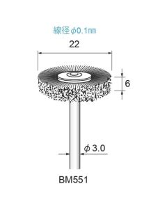 Stainless Steel Wire Wheel Brush φ22×6×φ3.0