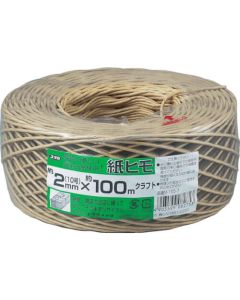 Paper String