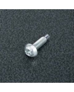 Tapping Bolt SS