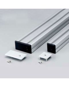 Frame Cap Lock Type N3030 (Light Gray)