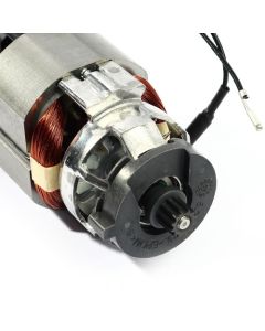 MOTOR COMPLETE 230V