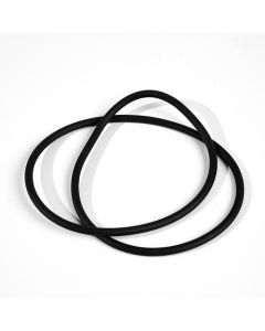 SEAL SPRING