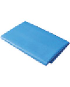 Adhesive Repair Blue Tarp
