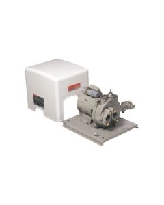 ปั๊มน้ำบาดาล JPS-300 1 1/4"