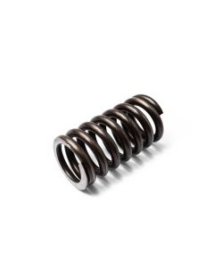 อะไหล่ M1100#47 COMPRESSION SPRING 19