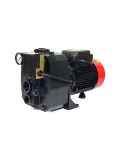 AUDP-750AB ปั๊มบาดาลออโต้ เจ็ทคู่ 2 HP