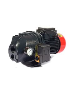 AUJDW-100B ปั๊มบาดาลออโต้ เจ็ทคู่ 1 HP