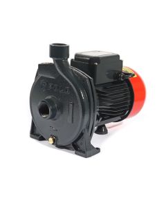 CPM-158B ปั๊มหอยโข่ง 1HP 1"