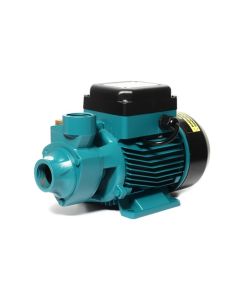 QB-60 ปั๊มใบพัดเฟือง 0.5HP 1" หน้าหมู