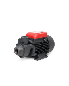 XB60 ปั๊มใบพัดเฟือง 0.5HP 1" หน้าหมู