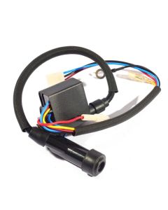 อะไหล่ GT9000I IGNITION COIL ASSY