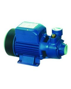 QB-60 ปั๊มใบพัดเฟือง 1" 0.5 HP หน้าหมู