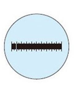 Stage Micrometer Scale