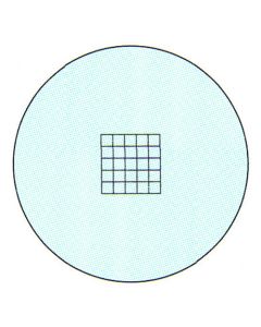 สเกล 19φ5mm 5 กำลังสองเท่ากัน