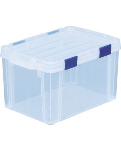 Container