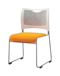Meeting Chair