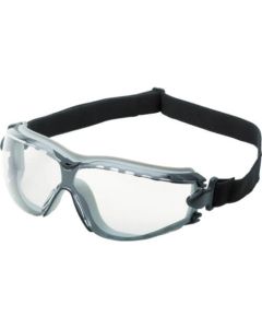 Safety Goggle