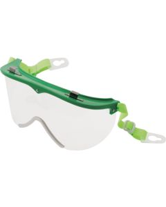 Safety Goggle