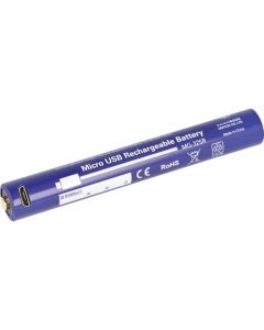 Rechargeable Battery