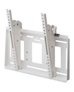 Wall Mount (Tilt)