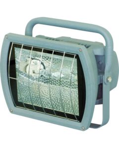 Metal Halide Flood Light