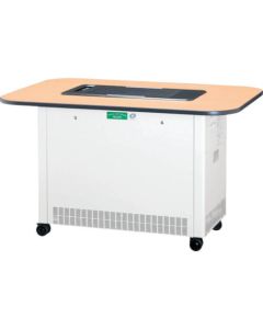 AIRCLEANERPALCLEAN 1อัน