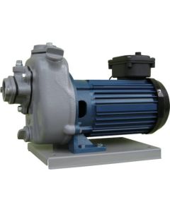 Self-priming Motor Pump