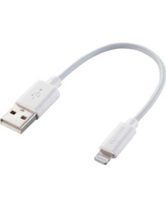 Lightning Cable
