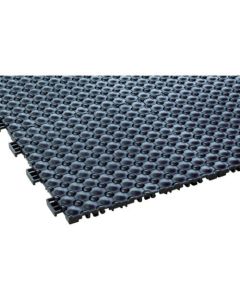Fmingo FW
