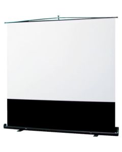Floor Stand Screen