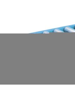 Gravity Steel Roller Conveyors 1เส้น