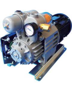 Lubrication-free Rotary pump 1อัน
