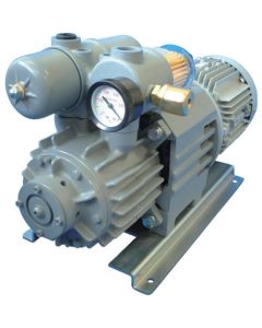 Lubrication-free Rotary Pump