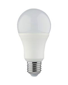 LED Bulb  อันละ 1 อัน