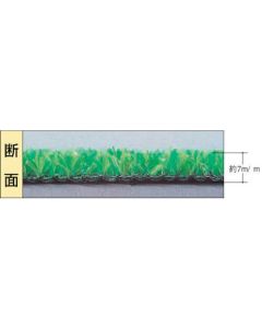Artificial Turf 1อัน