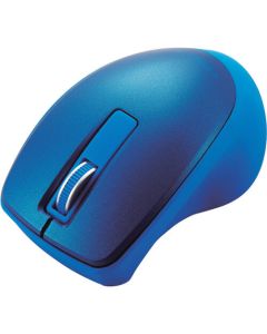 Computer Mouse 1อัน