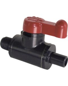MV6MSV 1อัน