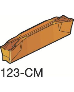 N123E202000002CM
