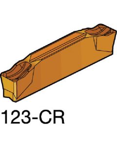N123J205000004CR