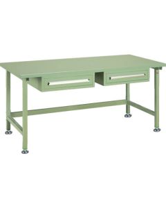 Work Bench medium duty type 1อัน