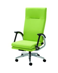 Reclining Chair