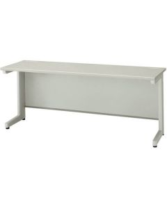 Basic Desk 1อัน