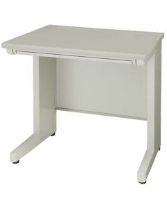 Basic Desk 1อัน