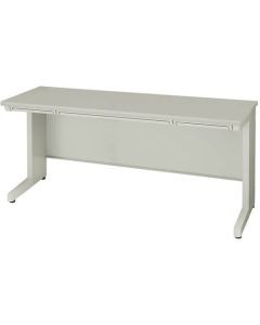 Basic Desk 1อัน