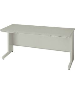 Basic Desk
