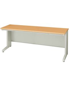Basic Desk 1อัน