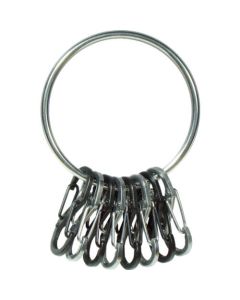Big Ring Steel