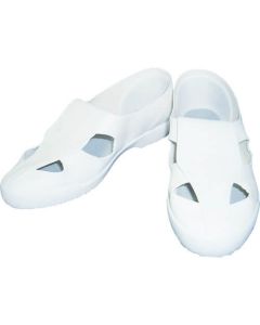 Shoes for Clean Room